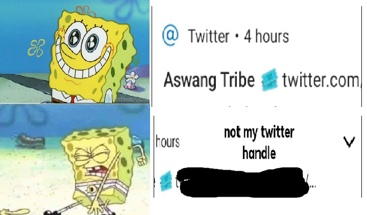 DinoNics tweet media