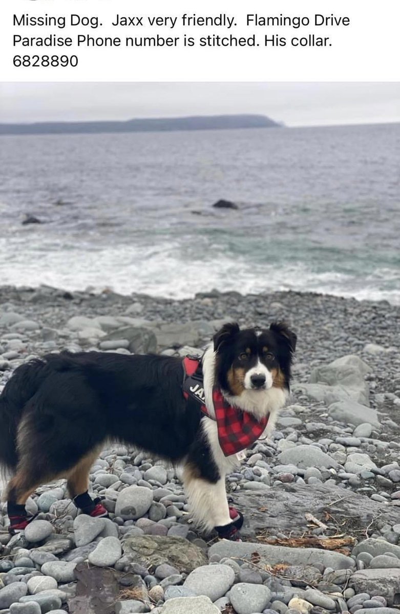 whereismypetnet's tweet photo. https://t.co/HRnODUPb2a