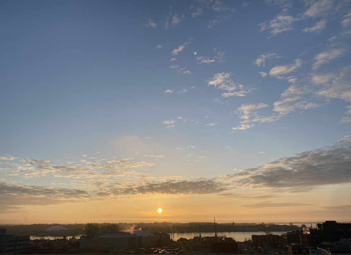 Vanessa Wiseman tweet media