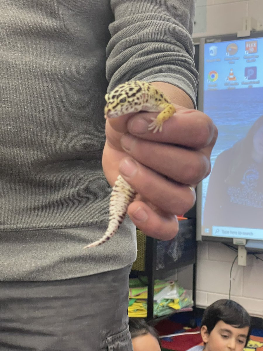 LabrosseKristy's tweet image. It’s always a treat when Nature Marc comes to visit with his friends! Thanks PTO! 🐢🦎🪳🪱#NMUKNIGHT @NMGibbs_NJ #Closternaturecenter