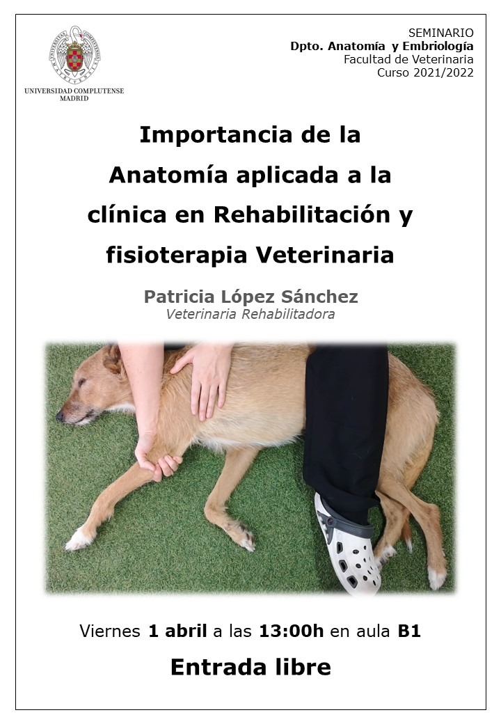 Juliovet_UCM's tweet photo. Esta próxima semana en @VeterinariaUCM, seminario de interés, con enfoque clínico sobre #Fisioterapia y #Rehabilitación en pequeños animales. Entrada libre! 😎 El día 1 abril a las 13h te esperamos 🐶🐕 https://t.co/CKBVQoCdFH