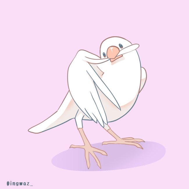 「文鳥」のTwitter画像/イラスト(新着))