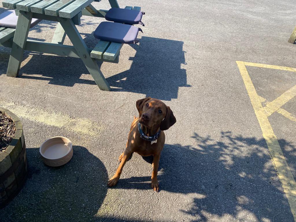 Teepee is Spring ready… come on down ☀️🌸

Open from 12, enjoy a cocktail or two or a bite to eat 

#longton #alfresco #teepee #springtime #sunshine #southribbel #visitlancashire