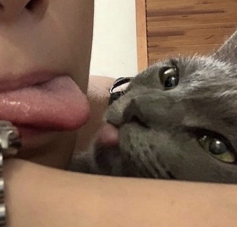 DRIP (@dript3r) on Twitter photo 