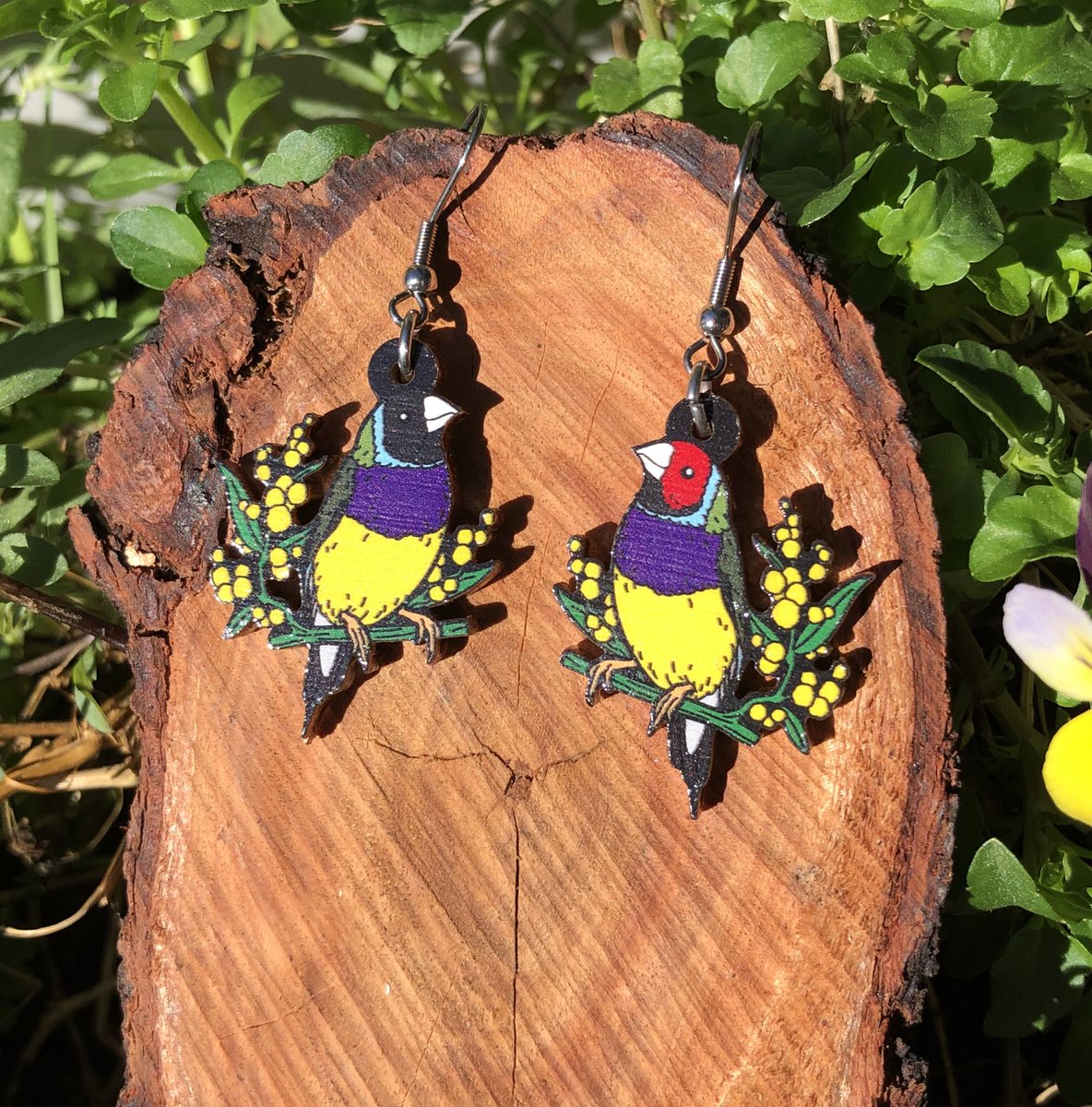 hyper_finch's tweet photo. Gouldian Finch wooden earrings ✨ Although we have ‘Finch’ in our name, these are the only finches we currently have 😂 we would love to explore more Aussie finches like Zebras, Diamond firetails and Double-barred to name a few. What Finches would you like to see us do in future? https://t.co/5aSc0cnQvT