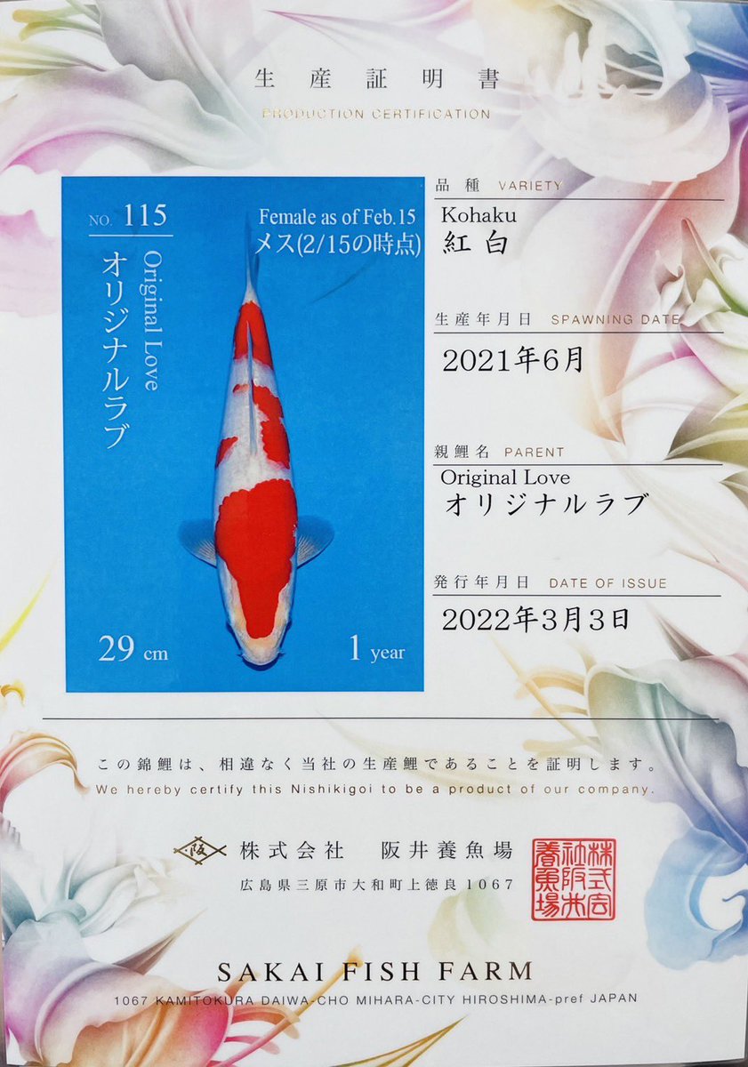 大阪サカイ錦鯉 (@oosakasakaii) on Twitter photo 