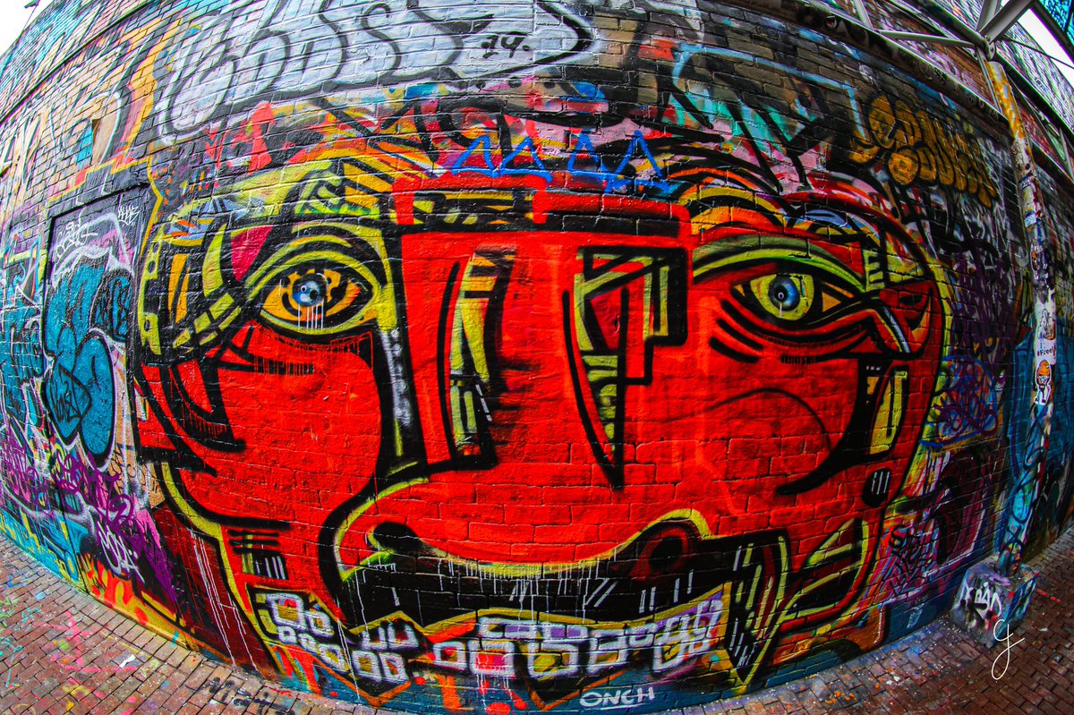 Bronibibini tweet media