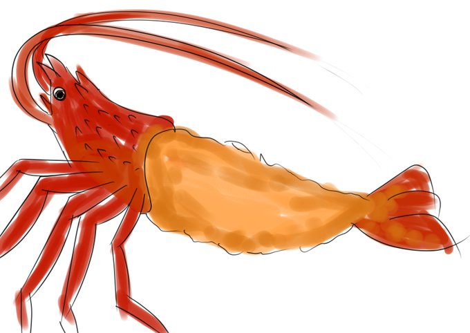イセエビのtwitterイラスト検索結果 イセエビのtwitterイラスト検索結果