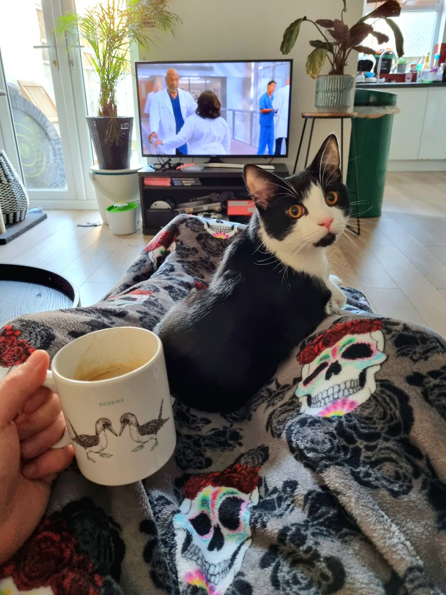 craig0311's tweet photo. Morning coffee with the most handsome boy ft boobies. https://t.co/viZL4DnP1S