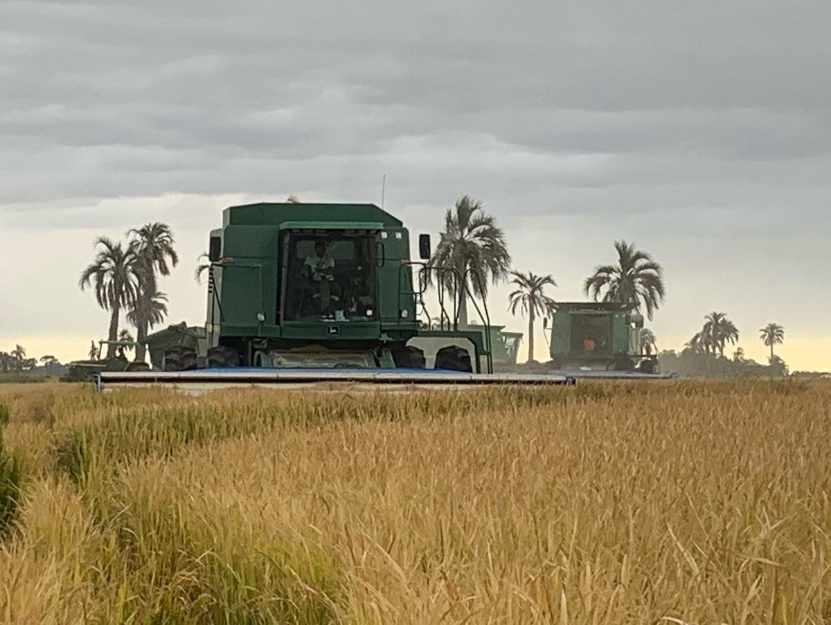 🌾🌾🌾vamo arriba!!!🇺🇾