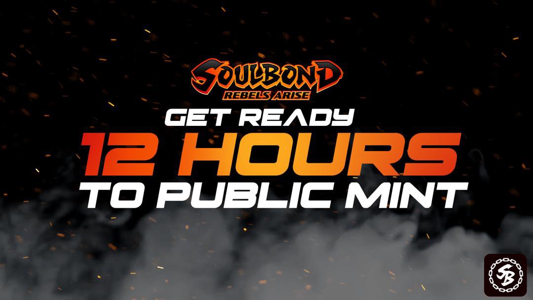 Soulbondrebels's tweet photo. Less than 12 hours to public sales? For the whitelisters, have you guys mint yet? 

#soulbondHODL01eth https://t.co/UDezxW3mAN
