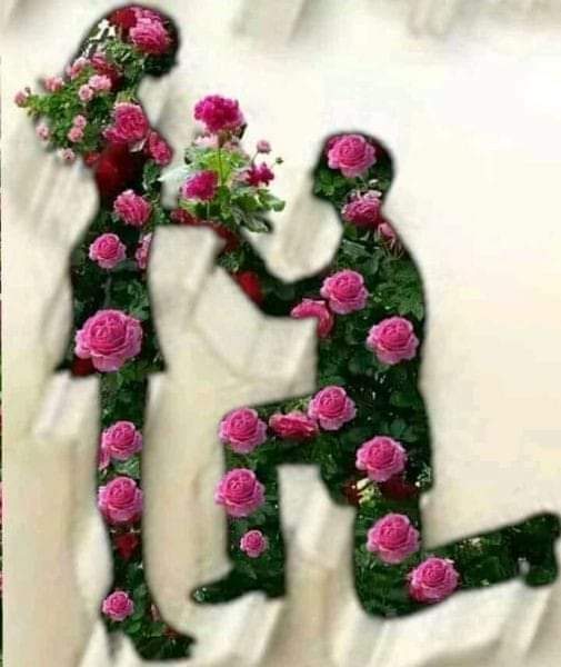Daddyrami21's tweet photo. @DSanina2015 Lovely day sweet friend https://t.co/fvJxzT9sG5