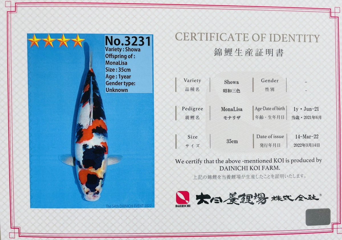 大阪サカイ錦鯉 (@oosakasakaii) on Twitter photo 