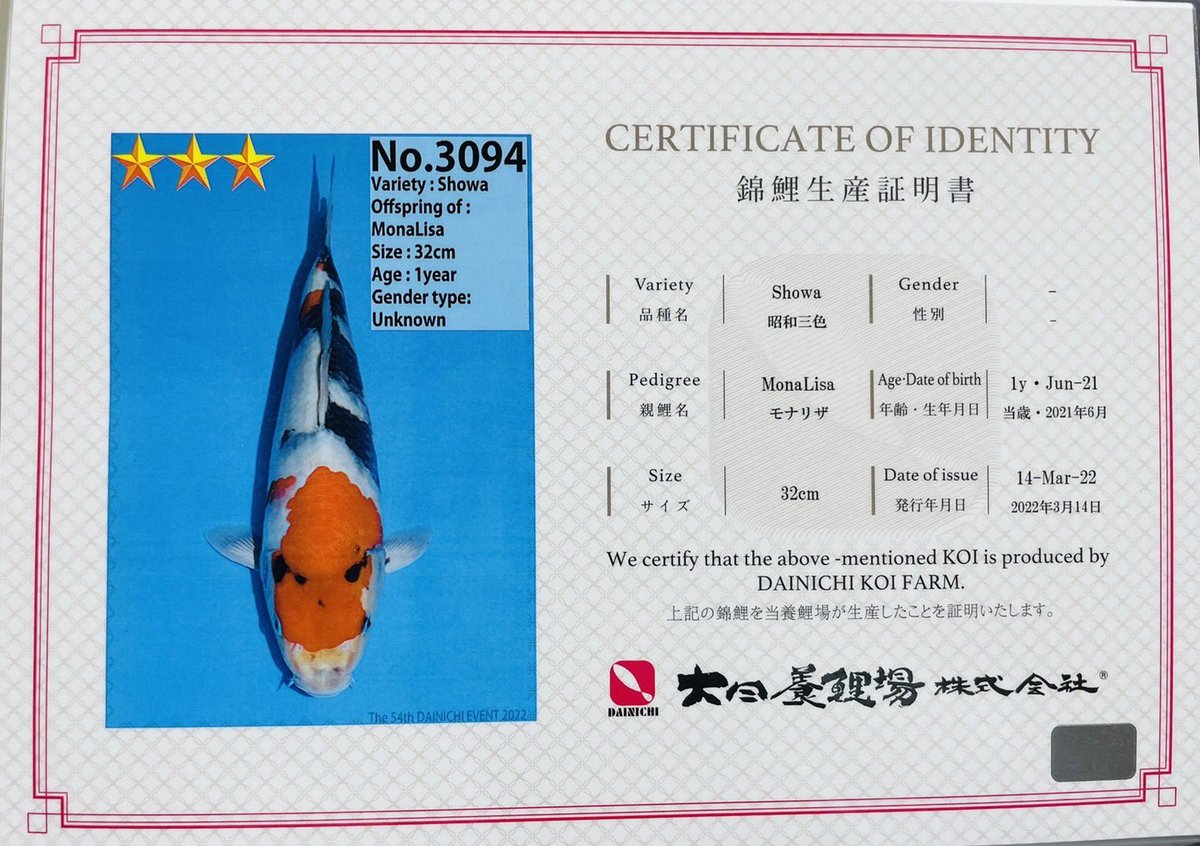 大阪サカイ錦鯉 (@oosakasakaii) on Twitter photo 
