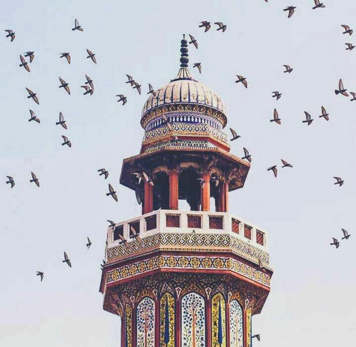 .
.

عن أبي هريرةَ -رضيَ اللهُ عَنْهُ- أنَّ رسولَ اللهِ -ﷺ- قالَ:
"إذا جاءَ رمضانُ فُتِّحَتْ أبوابُ الْجَنَّةِ وغُلِّقَتْ أبوابُ النّارِ وصُفِّدَتِ الشياطين."

رواهُ مسلم

.
اللهم بلغنا رمضان لا فاقدين ولا مفقودين.. 
.
