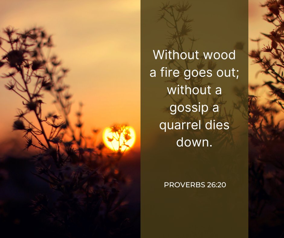 carefreechurch's tweet photo. #Proverbs #Proverbaday #Wisdominproverbs #CarefreeChurch
https://t.co/ngxhMcf5lN https://t.co/6xOEY1Bntm