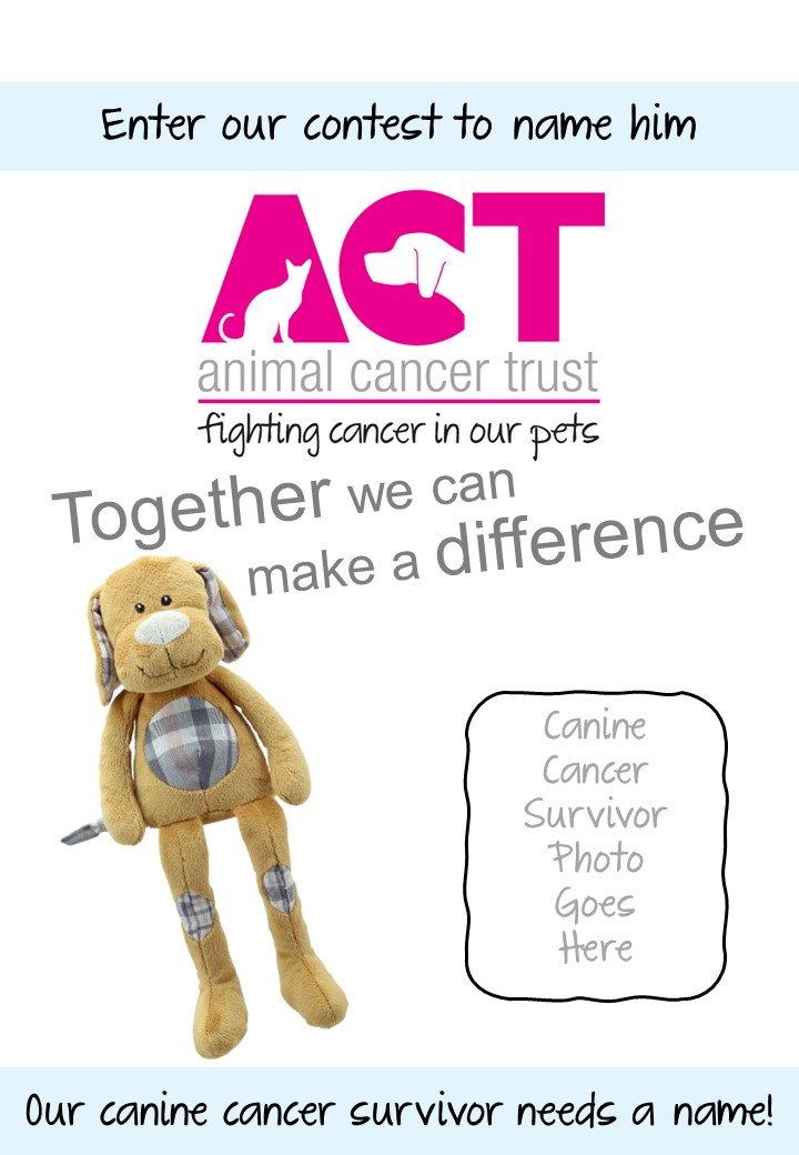 Fancy having your canine cancer survivor immortalised as a teddy?
Email us a picture and a short reason why to info@animalcancertrust.co.uk winner announced next week
#animalcancertrust #fightingcancerinourpets