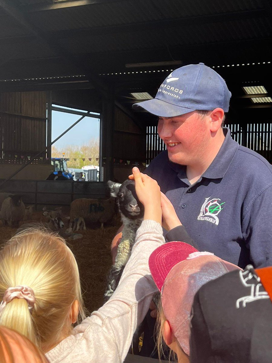 Did you know? 🤔 Lambs can walk just minutes after they are born, though they are often dependent on their mothers for the first four to six months of their lives.