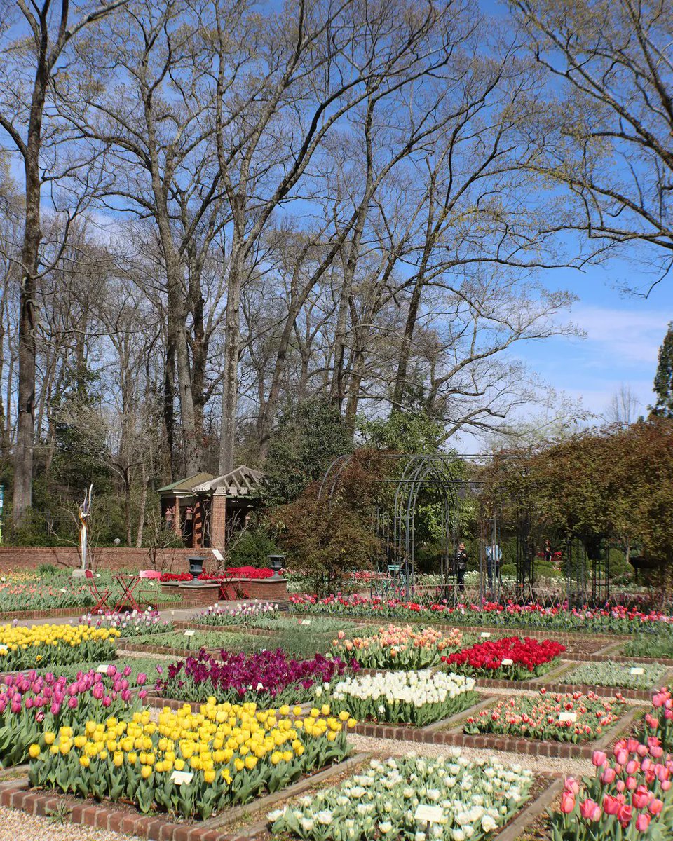 Happy Saturday, Memphis!