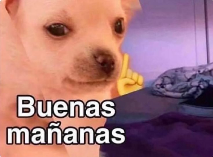 “Nadie puede estar despierto un sábado tan temprano”

Yo:
