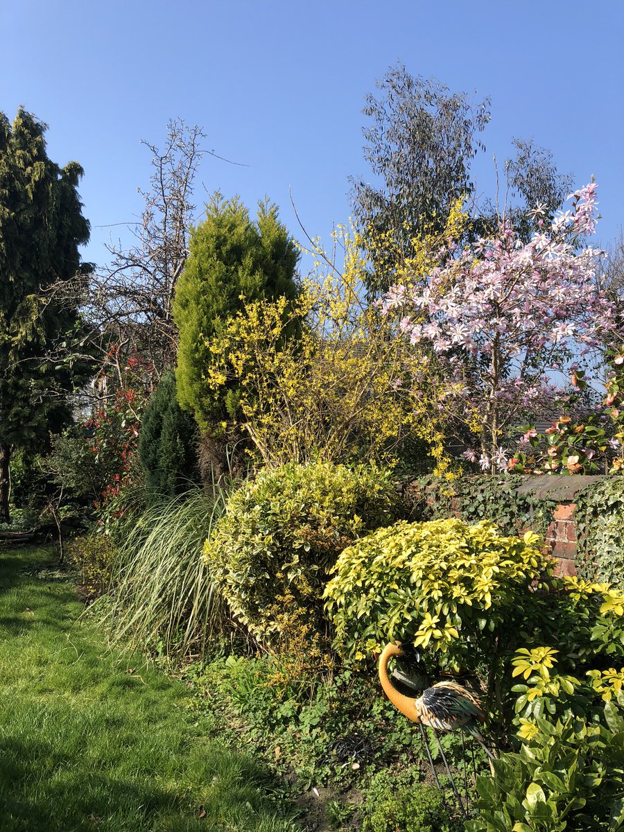 JohnWai_'s tweet photo. Me: Time to take a break from coding plants.

Me walked into back garden: ➕🤯➖🤯✖️🤯➗🤯 https://t.co/P0LQPDhqPo