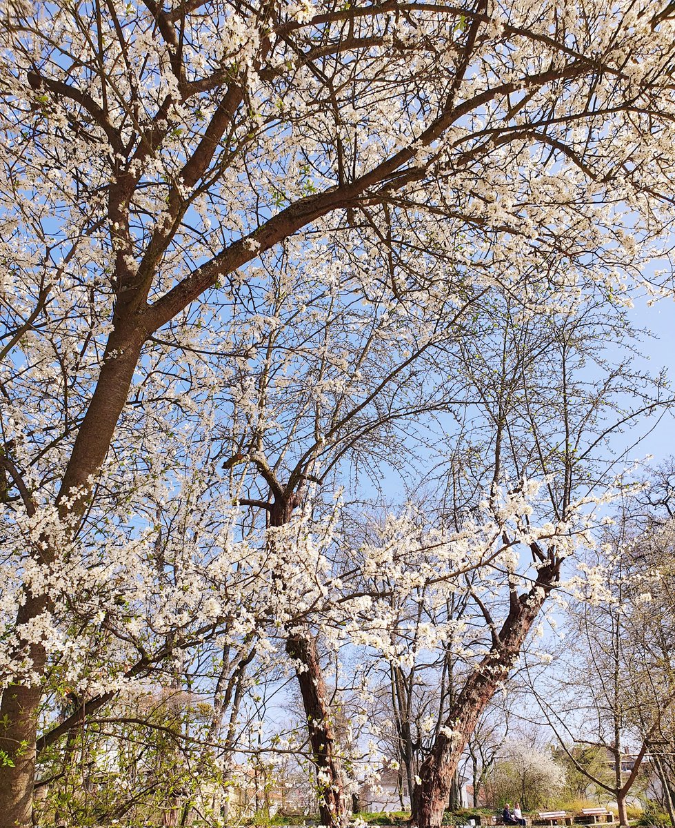 Ich bin mit Jacke und schwarzer Hose auf dem Spielplatz und eventuell verbrenne ich gerade.