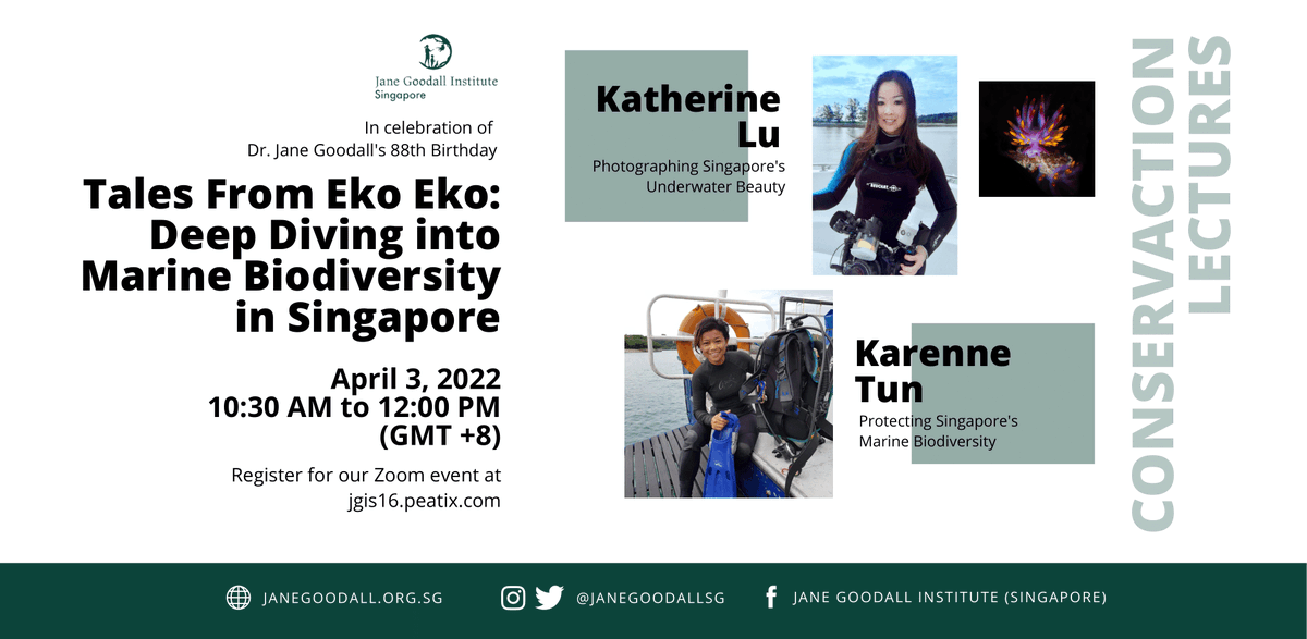 Less than two weeks to go before our first ConservAction Lecture on April 3, Dr. Jane's 88th birthday! Sign up for Tales from Eko Eko: Deep Diving into Marine Biodiversity in Singapore now at jgis16.peatix.com. SEA you there! 🤿🐟