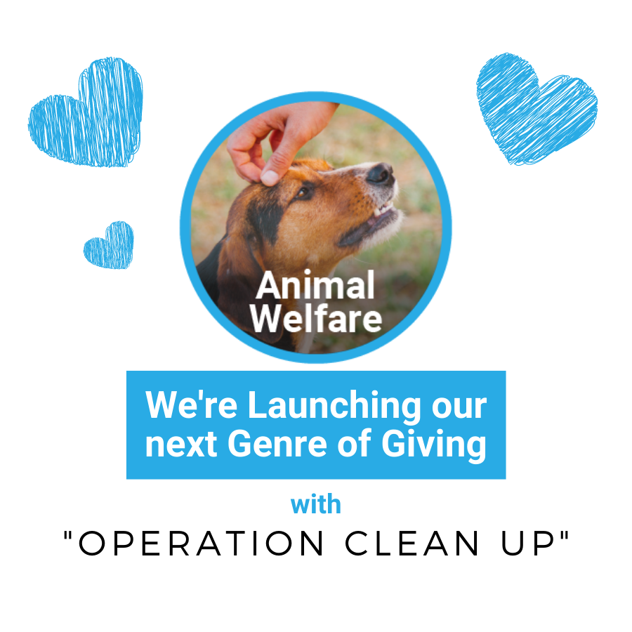 _HelpUK's tweet photo. 🥳 We're launching our next Genre of Giving!

🦊 For 6 months we're helping in the area of Animal Welfare by cleaning up Birmingham's green spaces. https://t.co/9a9oL15g4V