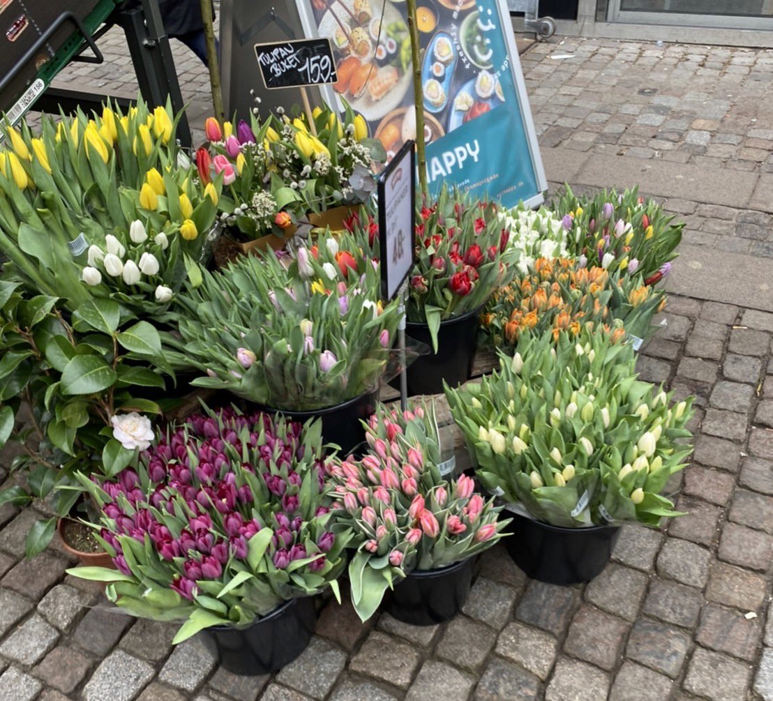 flower home  : ✿ ) 🧽🏡