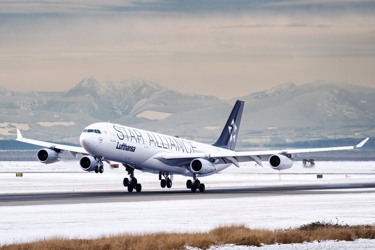 Lufthansa @Airbus A340 @staralliance livery touching down in a wintery @yvrairport. #Lufthansa #aviation #airbus #airbusA340 #a340