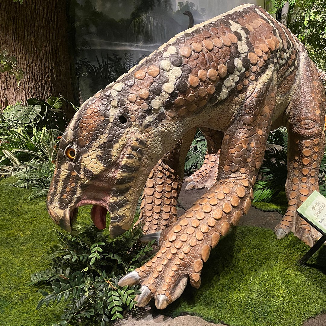 Creation Museum tweet media