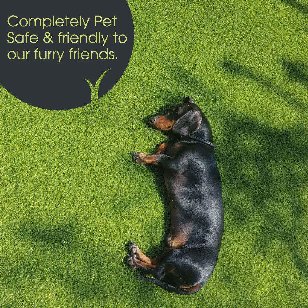 EasigrassLpool's tweet photo. Another wonderful benefit of #ArtificialGrass is that it's completely #PetSafe and friendly to our furry friends. It's easy to clean mess up, and comes with an odour infill layer to keep odours away. This ensures that your lawn stays in immaculate condition at all times https://t.co/kgNjk85WsM