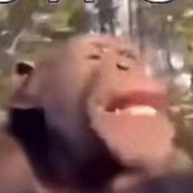 ScreenFuzzy's tweet image. #NewProfilePic