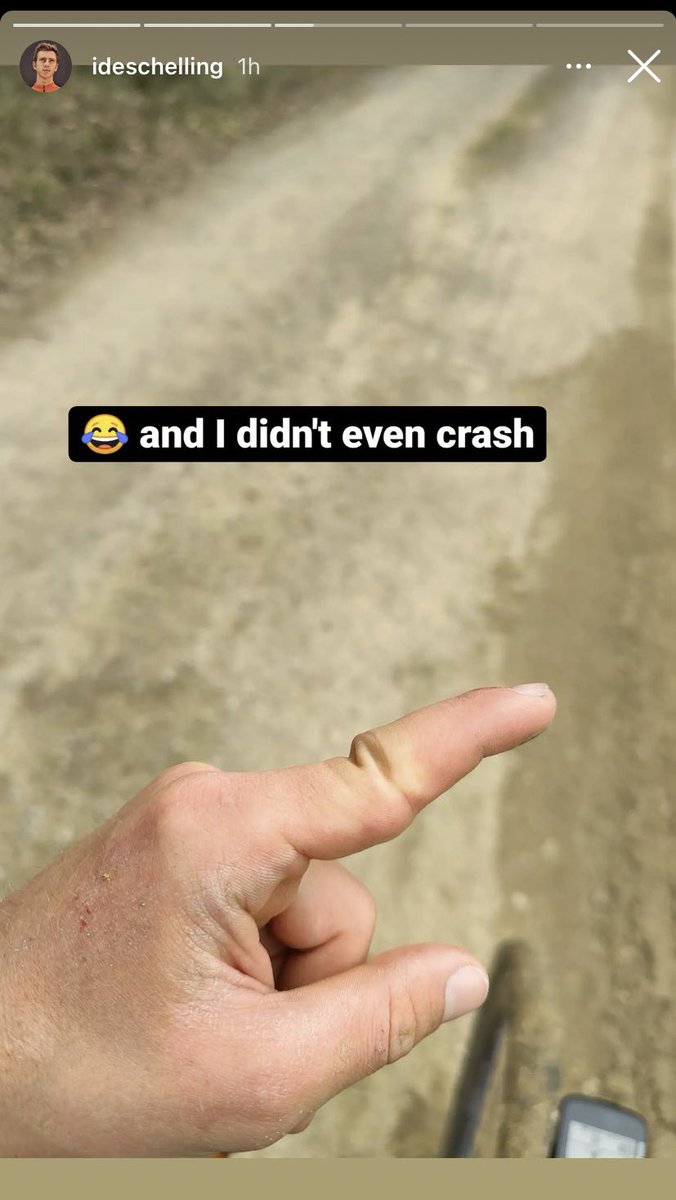 Anna Mac 👑🪱 🌈🖤 tweet media