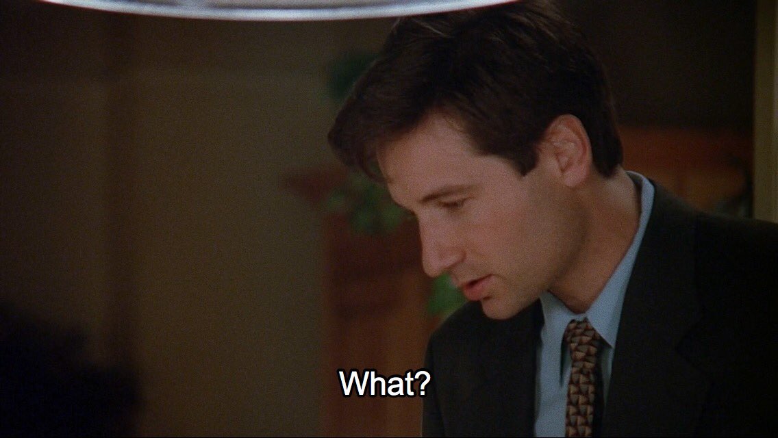 the x files in a nutshell