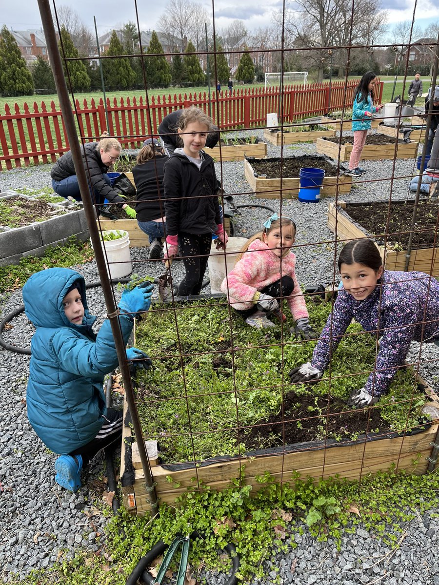 rc001i's tweet photo. Green team workday. The weeds didn’t stand a chance. ⁦@FreedomHillES⁩ ⁦@freedomhillpta⁩ #fhhighlights https://t.co/EcwUIPab7r
