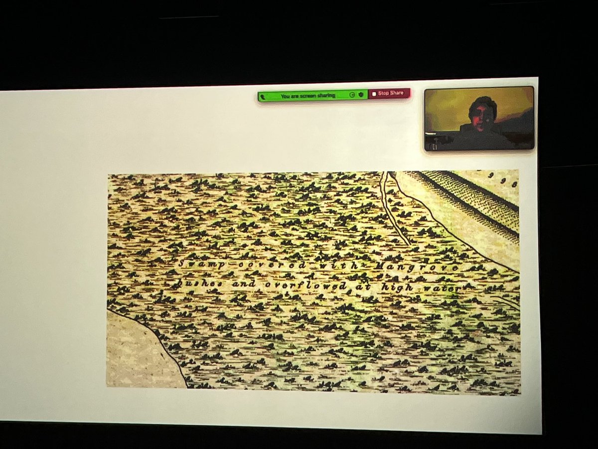 “At sea there’s a wave that always goes towards the coast. A wave within the wave that follows the pull of the land.”
Lecture-performance by Shahana Rajani and Jeanne Lassus, as part of their #alserkalartsfoundation research grant. #culturesinconversation @expo2020dubai