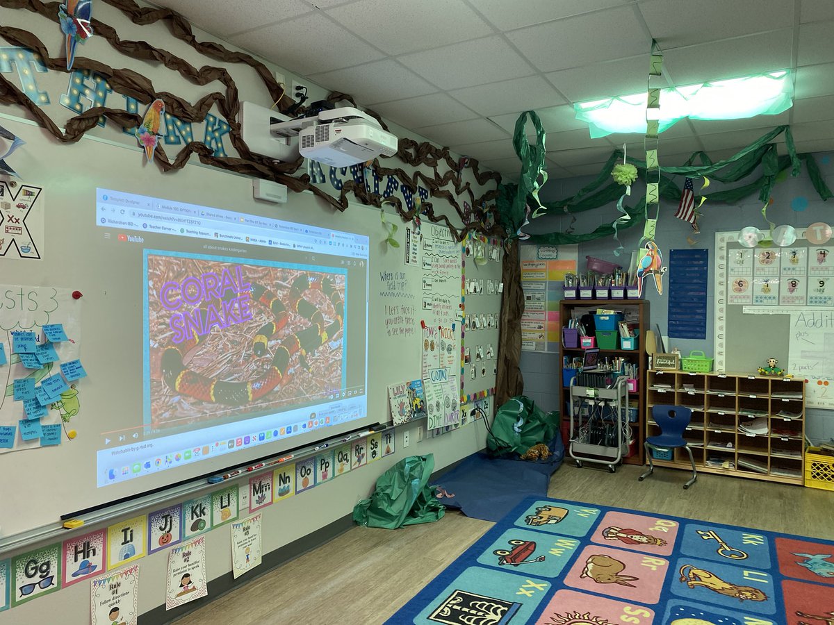 MsShumanSays's tweet photo. Kinder @yaleroadrunners room transformations to close out our animal research unit! Day complete with classroom rotations for each student to become an “expert” in all the different habitats! #RisdPowerOfLove #RISDGreatness https://t.co/0utFhcnHD0