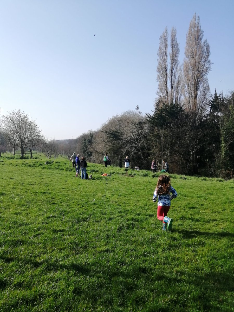 Also tree planting! We joined up with Bluebell and Drimnagh -the Tri-state area- to plant 280 NATIVE TREES IN TWO HOURS! in Lansdowne Valley Park under the watchful guidance of Dave Moore from <a href="/DCCParksBiodiv/">DCCParksBiodiversity</a> and the brilliant organising and demo from Gobnait O'Neill of Drimnagh.