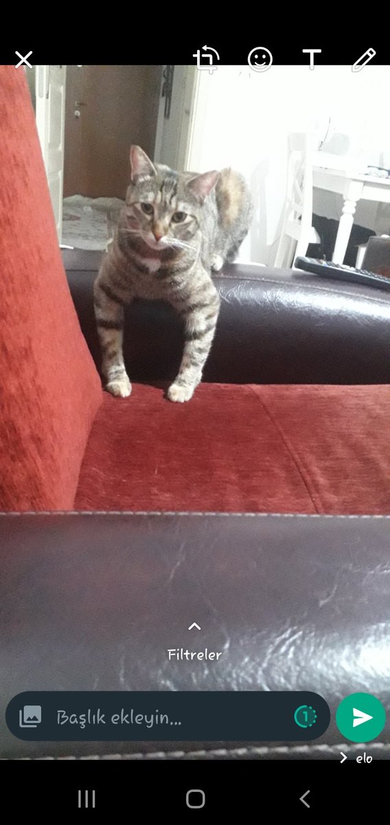 peki sisi nedn işe alalım?