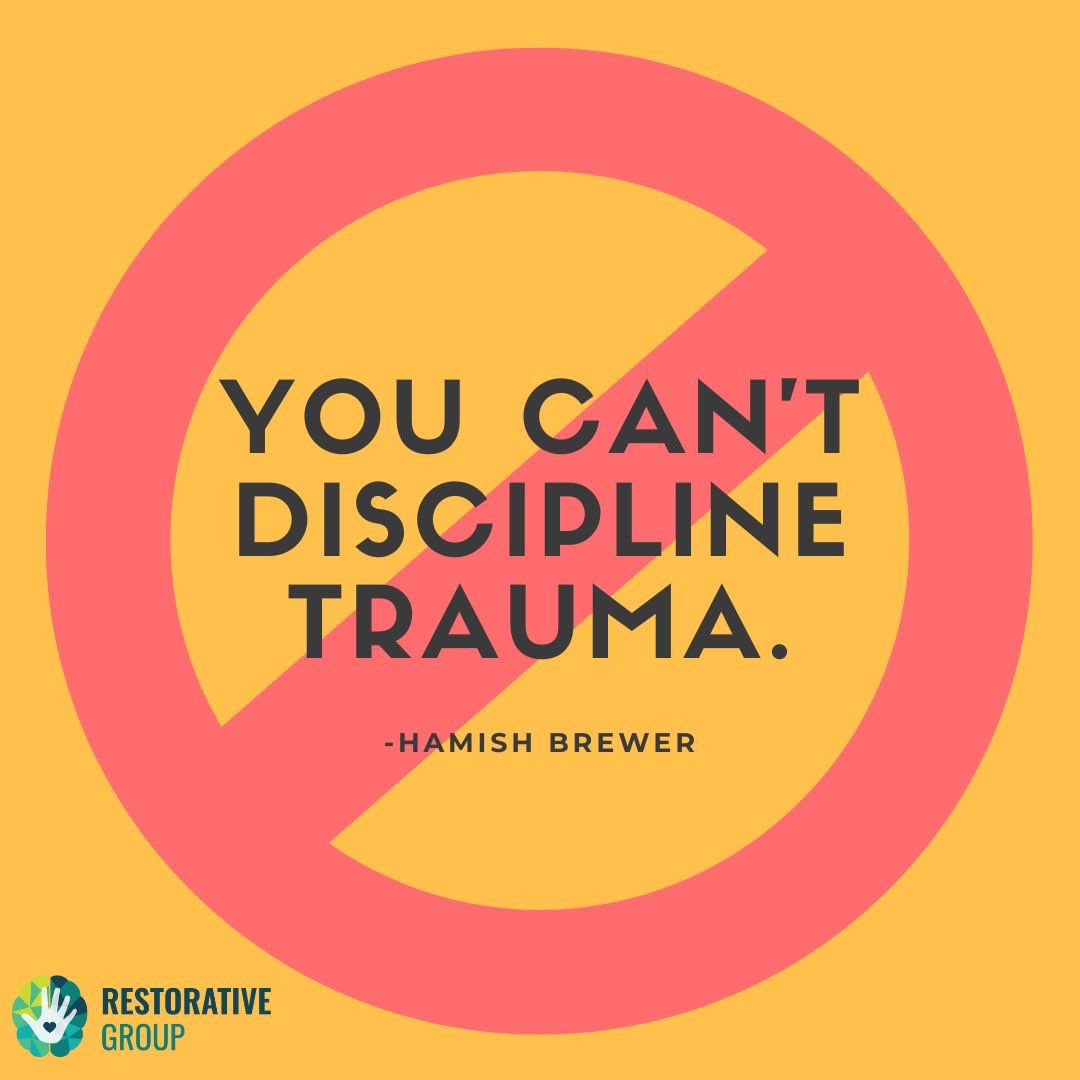 Fight, flight, and freeze are trauma responses when we try to discipline without knowing the whole story. #sel #Trauma informed #restorative 📸restorative group