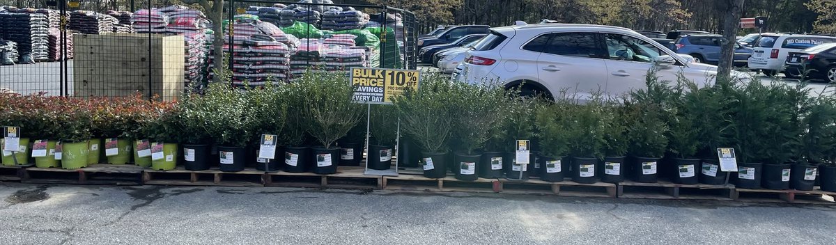 Lorrie Gallimore (@gallimorelorrie) on Twitter photo Check out the new Bulk Savings Program at your local Home Depot! Pick any combination of 10 of 10 different program varieties and save 10% today! <a href="/ericbaucom/">Eric Baucom</a> <a href="/BaucomJbaucom/">Baucoms Nursery Co.</a> <a href="/Pat_Fischetti/">Patrick Fischetti</a> Check out the new Bulk Savings Program at your local Home Depot! Pick any combination of 10 of 10 different program varieties and save 10% today! <a href="/ericbaucom/">Eric Baucom</a> <a href="/BaucomJbaucom/">Baucoms Nursery Co.</a> <a href="/Pat_Fischetti/">Patrick Fischetti</a>