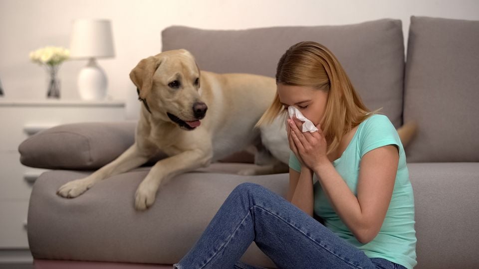 ChemDryIOW's tweet photo. Allergy season is just around the corner! It's time to make your home allergy-free Did you know Chem-Dry removes an average of 98.1% of common household allergens from carpets and upholstery
Book your Clean call 295518 All items cleaned will be Sanitised and Protected for FREE https://t.co/HL6bY2Z0qN