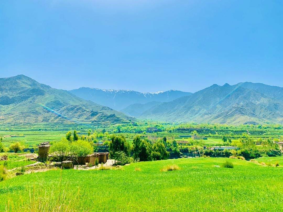 afghanistan1919's tweet photo. نگارههای زیبا و دلنگیز از زیبایی ولایت #کنر
#Kuner #Afghanistan🇦🇫🌴🌿🍀 https://t.co/5WEUkQWN2X