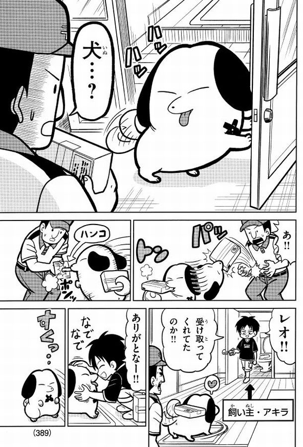 愛犬が天才すぎる話(1/4) 