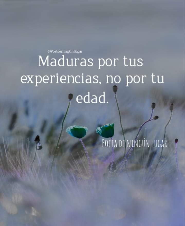 Minerva44827476's tweet photo. 🌺 Maduras por tus...!🌺 https://t.co/4u318Kgo2o