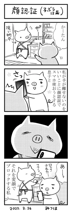 🐷「顔認証(子ぶう12歳)」 
#育児漫画 
#4コマ漫画 
#エッセイ漫画 
#三つ葉優雨 
#ぶた4コマ 
#顔認証 
