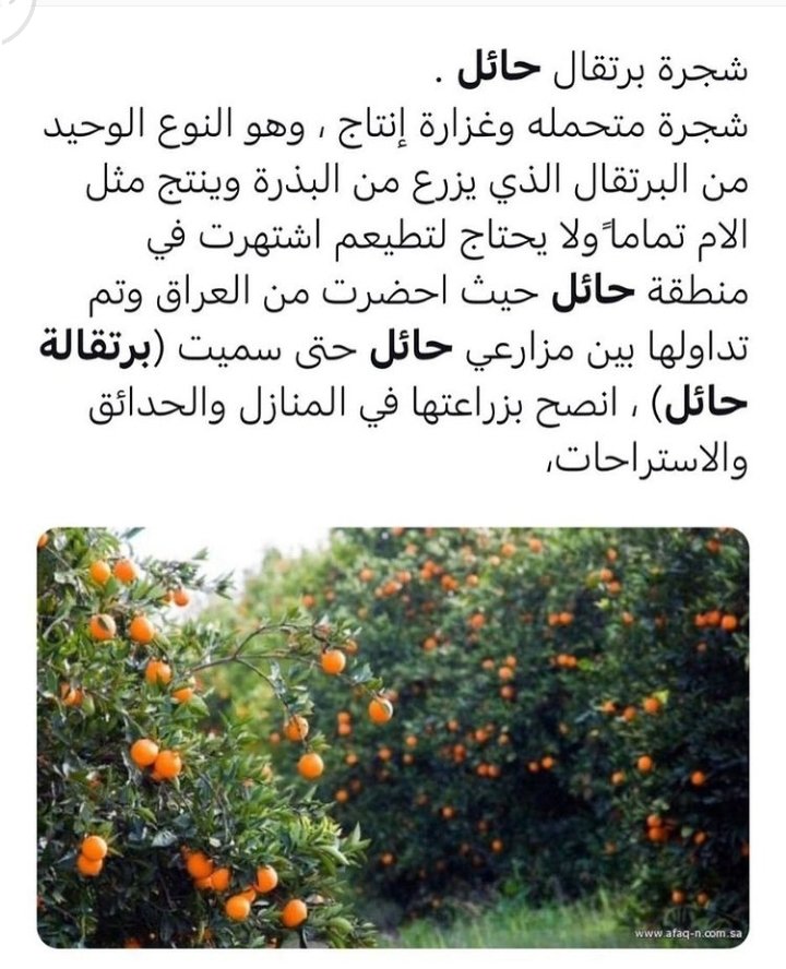 مشتل روابي عسير محايل