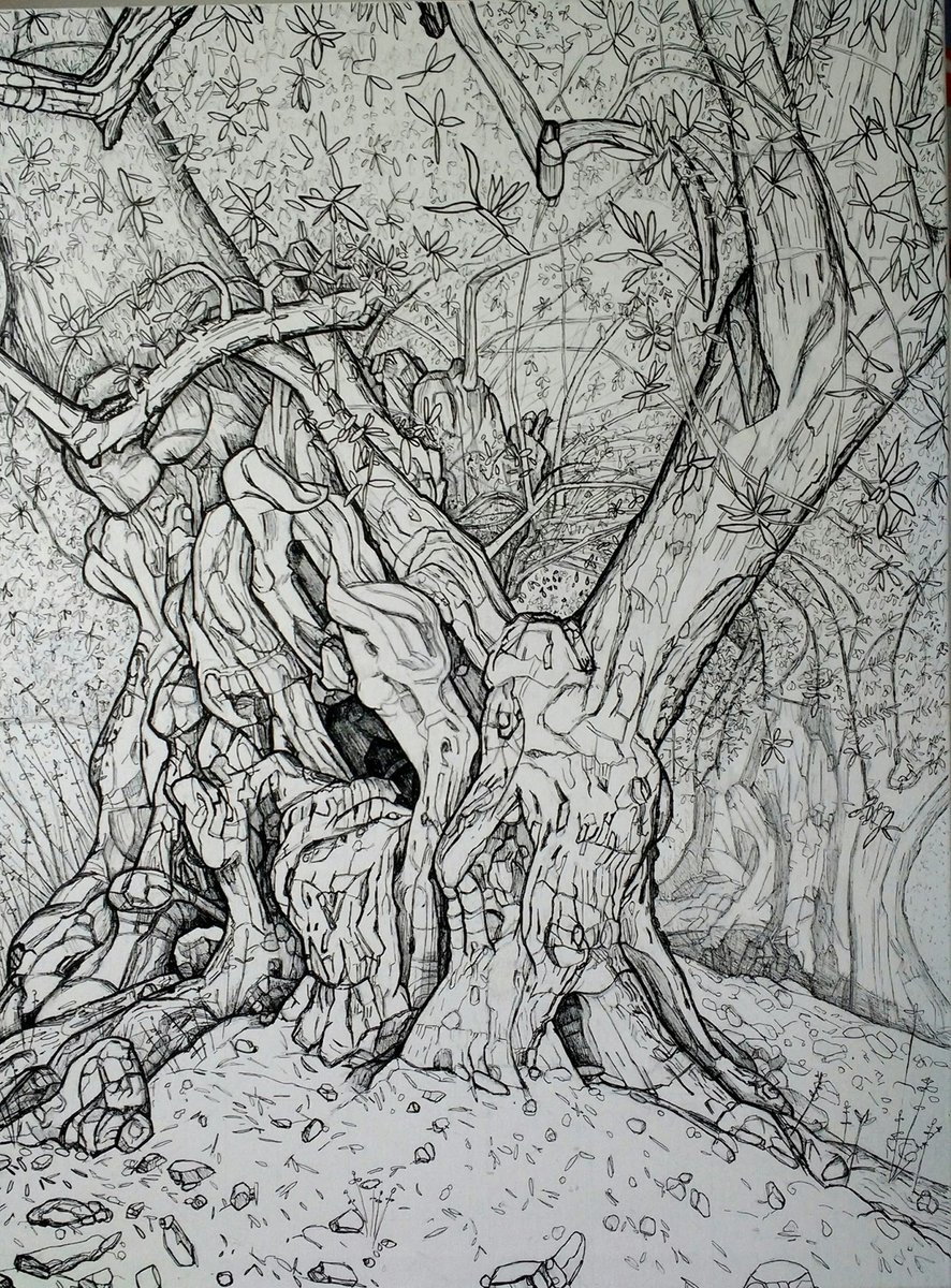 ARBOREALIST EXHIBITION: Trees and the Sacred, 28 April - 28 May 2022, The Hostry, Norwich Cathedral, Norfolk... Some of the wonderful works on show from, Fiona McIntyre,  Howard Phipps, Nahem Shoa and Claire Cansick... #artexhibition #trees