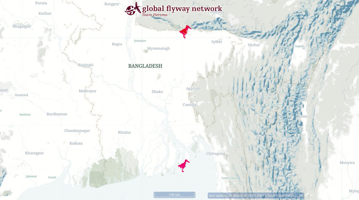 Global Flyway Network tweet media